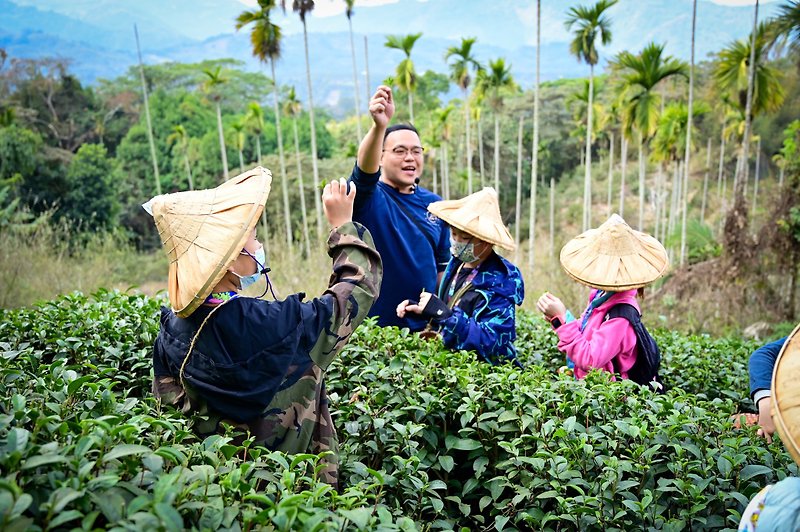 Experience in the Mountains//One Day Tea Picker//Hanlin-Deer Valley Beauty Land Frozen Top Tea - Day Tours / Tours - Other Materials 