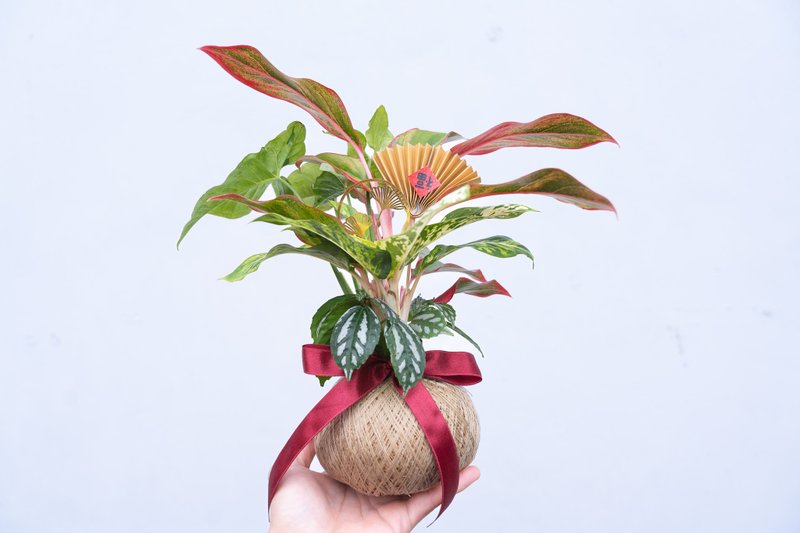 Plant Ball Pro New Year's Edition - Plants & Floral Arrangement - Other Materials 