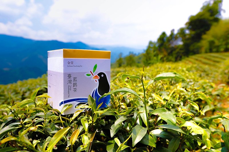 【Taiwan Blue Magpie Tea】Jin Xuan portable tea bags 10pcs - ชา - อาหารสด สีเหลือง