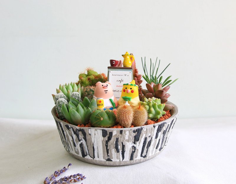 Unique style succulent combination hand-kneaded Cement potted plants/opening potted plants promoted potted plants new home completed - ตกแต่งต้นไม้ - ปูน สีเทา