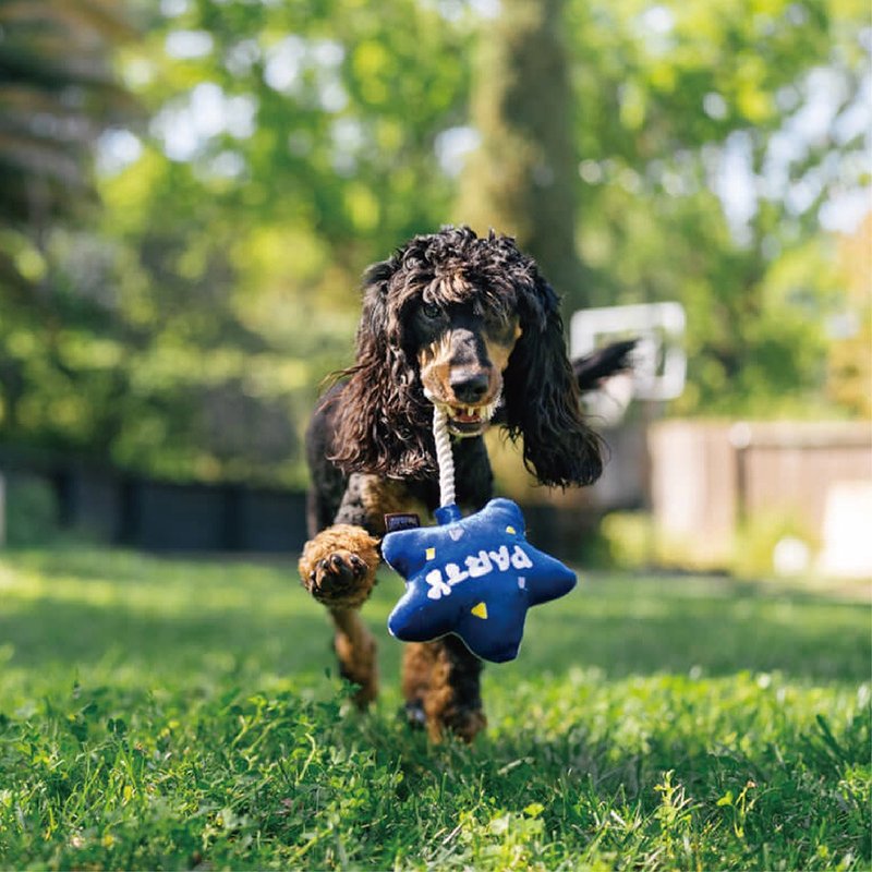 Eco-Friendly Materials Pet Toys - Party Time Collection- Best Day Ever Balloon