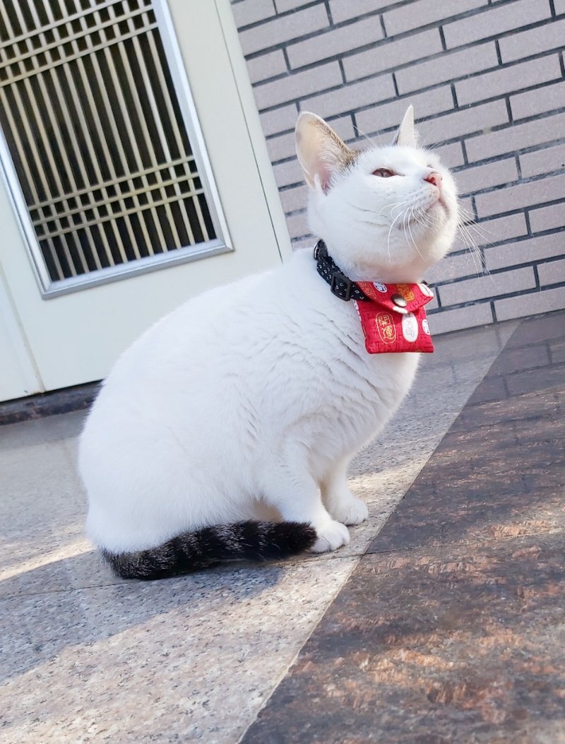 Pet red envelope bag, good luck red envelope bag, baby red envelope bag, cat and dog red envelope bag and collar - Collars & Leashes - Cotton & Hemp 