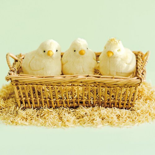 FELISSIMO (授權販售) Pinkoi 品牌形象館 【YOU+MORE!】黃毛小雞造型收納零錢包