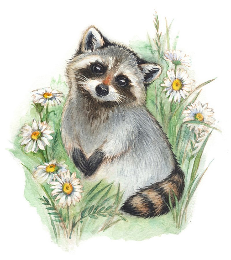 Cute Raccoon Print, Raccoon Watercolor Painting, Racoon Art Nursery - 海報/掛畫/掛布 - 紙 綠色