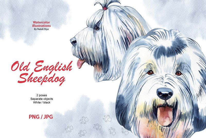 Watercolor dog, Old English Sheepdog breed, fluffy dog clipart, dog breed png - 電子似顏繪/繪畫/插畫 - 其他材質 