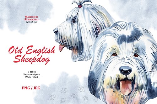 Natali Mias Store Watercolor dog, Old English Sheepdog breed, fluffy dog clipart, dog breed png