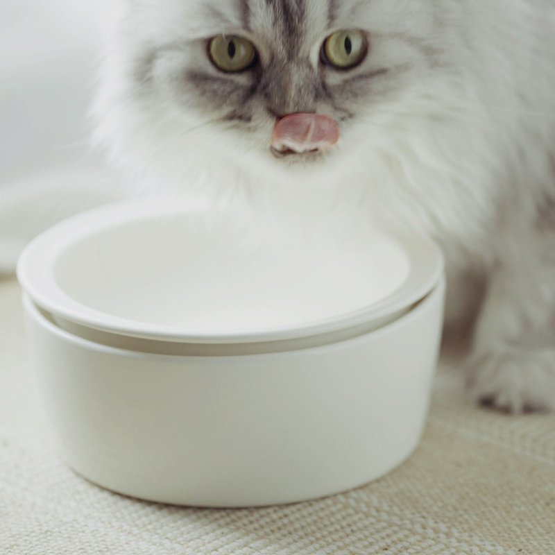 [Mini Forest Life] Tasty Cat Bowl/Small Stomach Cat Set/Heated, Insulated, Ant-proof and Spill-proof - Pet Bowls - Porcelain White