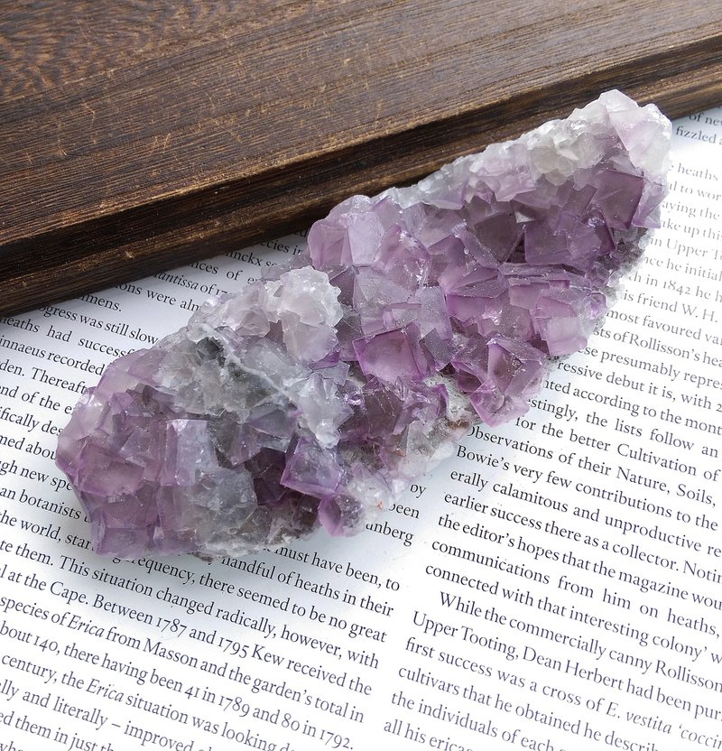 Fluorite 貴州產地 紫邊螢石 天然礦石 原礦 - 擺飾/家飾品 - 其他材質 
