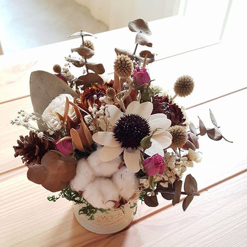 Wreaths Manor - White Day flowers small potted the preferred drying / cotton / best choice for gifts - ตกแต่งต้นไม้ - พืช/ดอกไม้ 