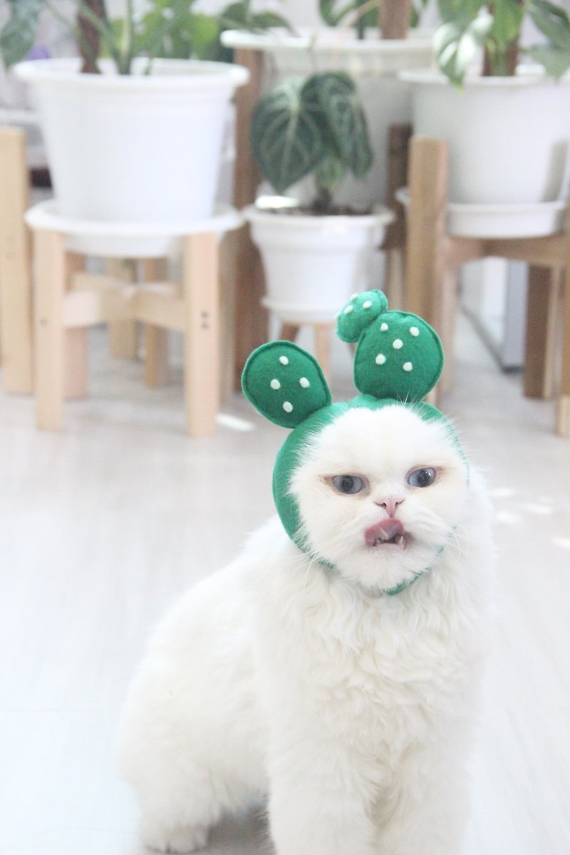 Bunny Ear Cactus | Pet Costumes - Clothing & Accessories - Other Materials 