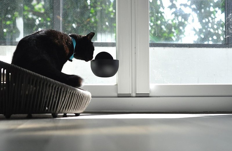 bubble pet bowl for cat and dog easy to eat all new design concept  stylish - ชามอาหารสัตว์ - พลาสติก ขาว