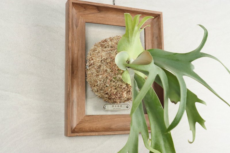 Photo frame deer board | Resin | Acrylic| Small strain | Medium and large strain | Staghorn fern - ตกแต่งต้นไม้ - พลาสติก 