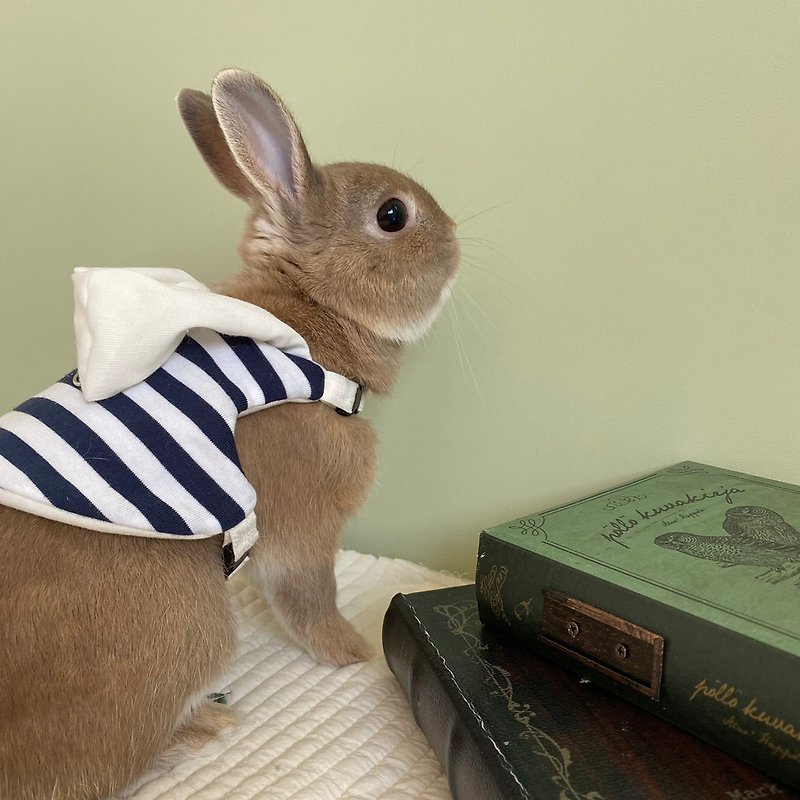 rabbit clothes - Clothing & Accessories - Cotton & Hemp Blue
