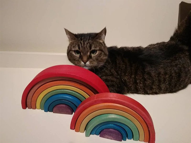 Wooden Toy Rainbow, Montessori Toy - 寶寶/兒童玩具/玩偶 - 木頭 多色