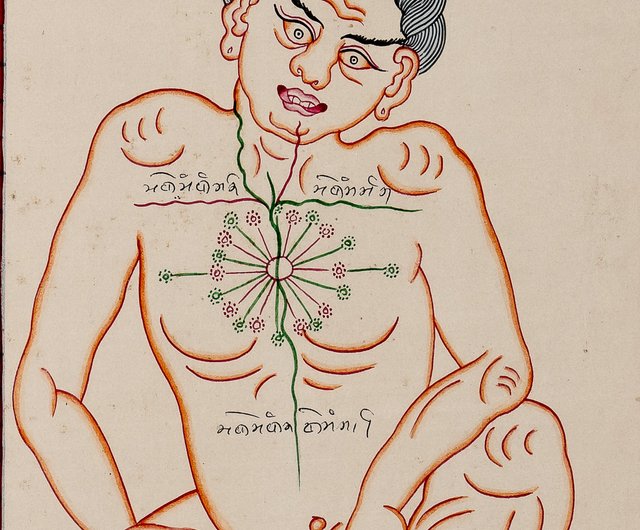 チベット解剖図：人体解剖学の啓発的な探求 - ショップ Boudha