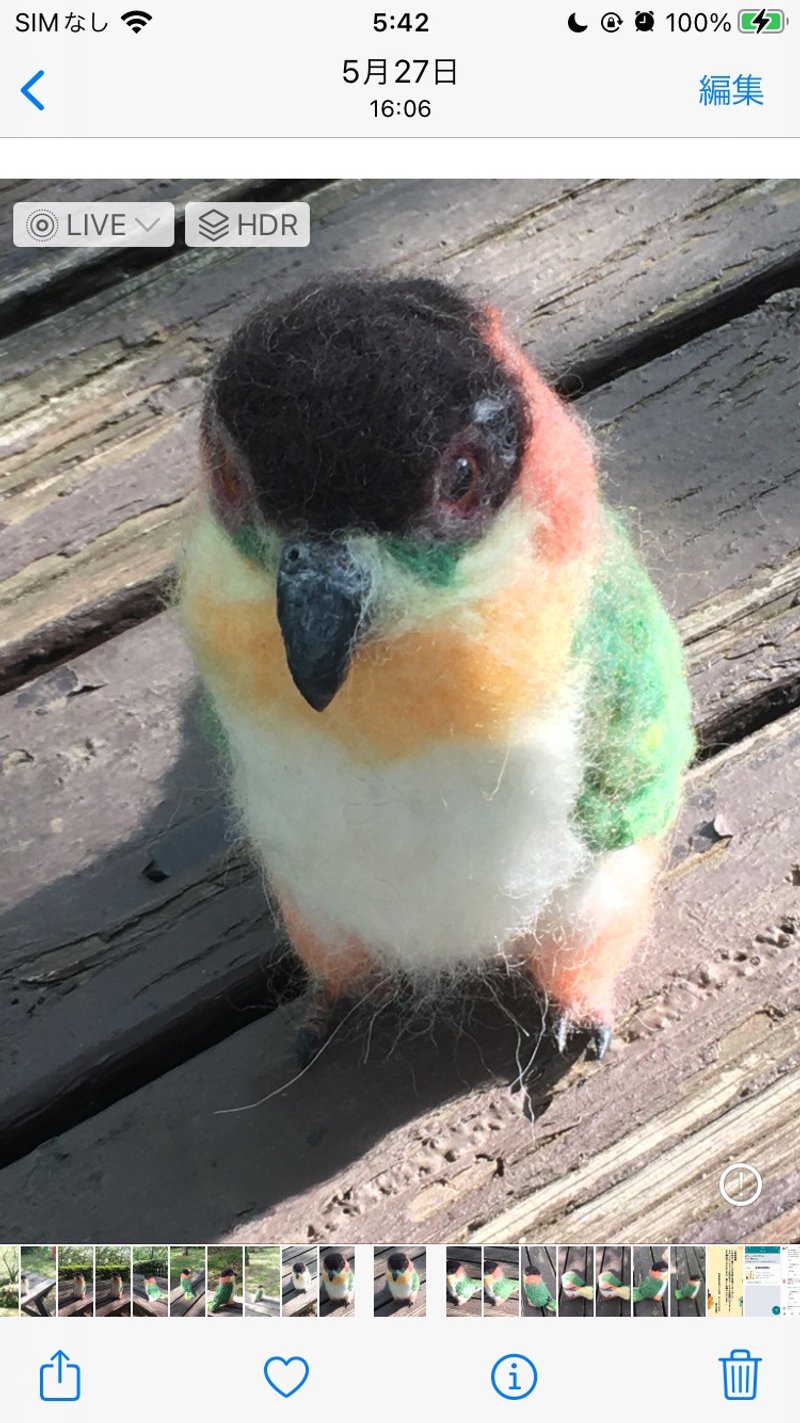 Blackwinged Parakeet made with wool felt - Stuffed Dolls & Figurines - Wool 