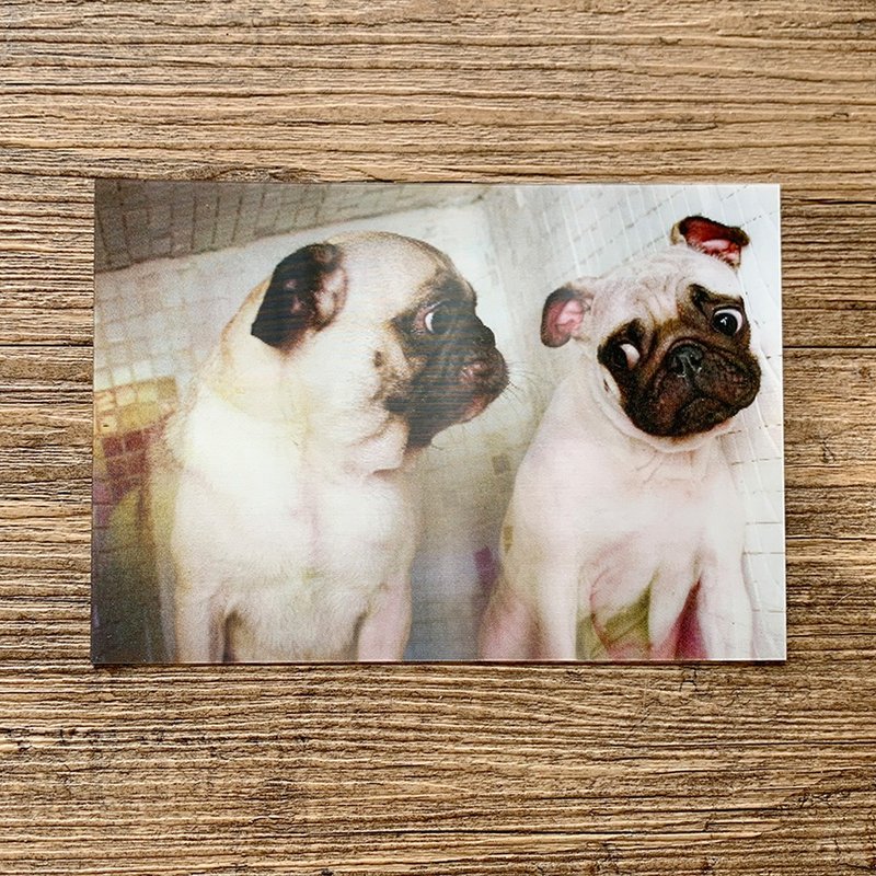 Pug  postcard - การ์ด/โปสการ์ด - กระดาษ หลากหลายสี