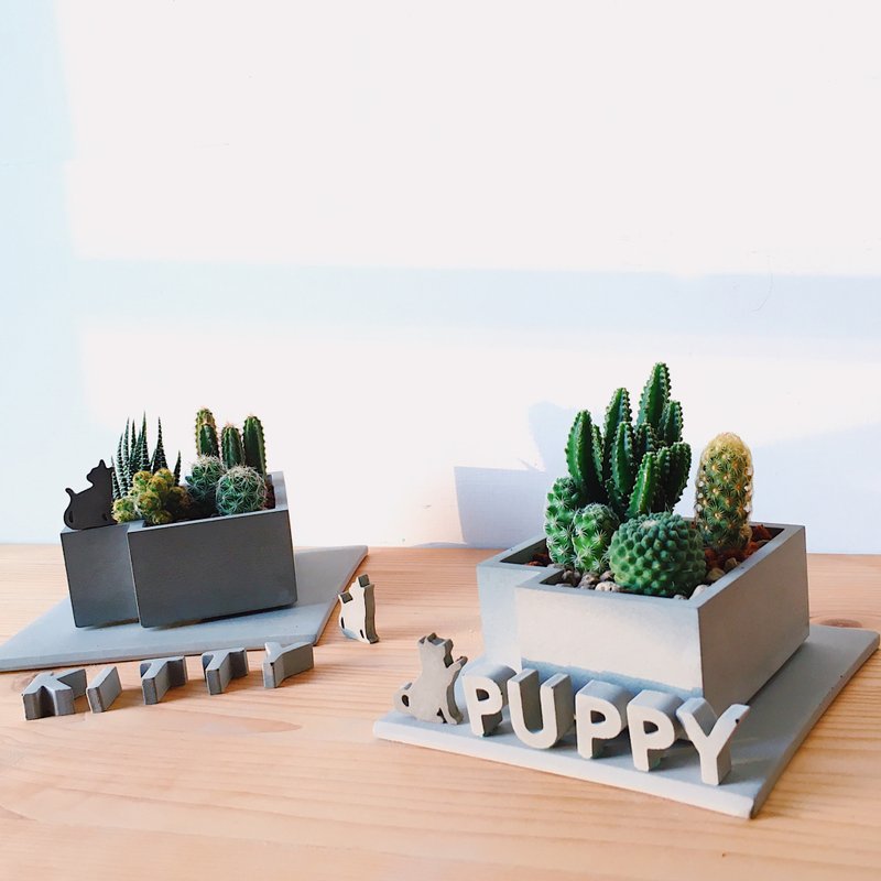 [Animal Party Yard] Mini Cactus Landscaping DIY (Mini Cement Characters are purchased separately) - ตกแต่งต้นไม้ - ปูน 