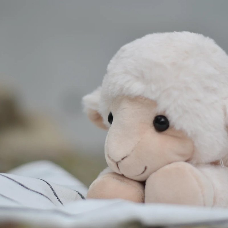 Nordic Sweden Teddykompaniet Farm Sheep - ตุ๊กตา - เส้นใยสังเคราะห์ 