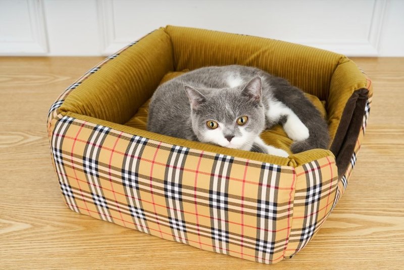 Mochi Japan designs exquisite pet nests, cat houses, and pet beds - ที่นอนสัตว์ - เส้นใยสังเคราะห์ สีเหลือง