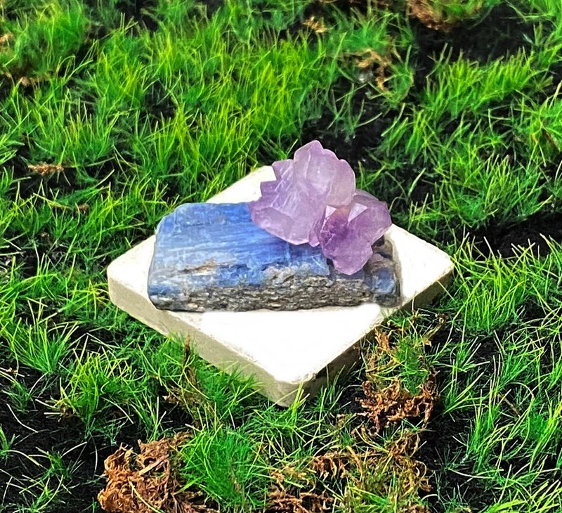 紫晶骨幹晶花 | 藍晶石 | 溝通 表達 觀察力 避邪化煞 招財增智慧 - 擺飾/家飾品 - 水晶 多色