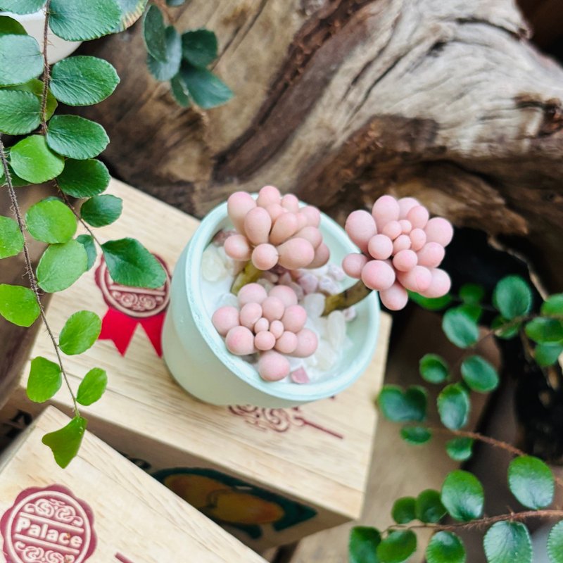 多肉下午茶 黏土 手作 微型多肉植物 - 擺飾/家飾品 - 植物．花 