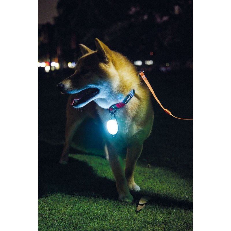 【MPETS】晚上一起跟毛孩散步吧! 犬用LED寶石發光燈 - 項圈/牽繩 - 其他材質 多色