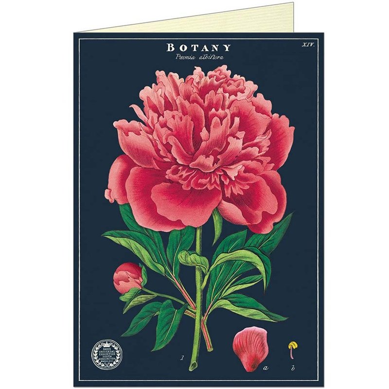 Cavallini & Co.  GREETING CARD 萬用卡(大)_植物學之芍藥花 - 卡片/明信片 - 紙 多色