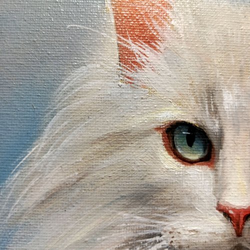 白猫の肖像画。30x25 cm。油絵。猫の絵。 - ショップ