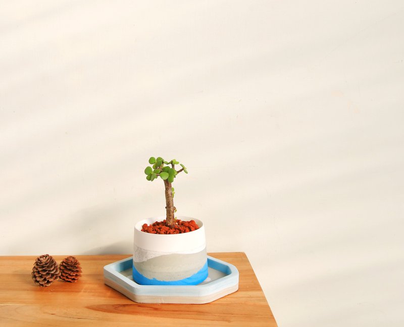 [Limited Edition] Mini Ginkgo Wood·Island Cement Potted Christmas Gift - ตกแต่งต้นไม้ - ปูน สีน้ำเงิน