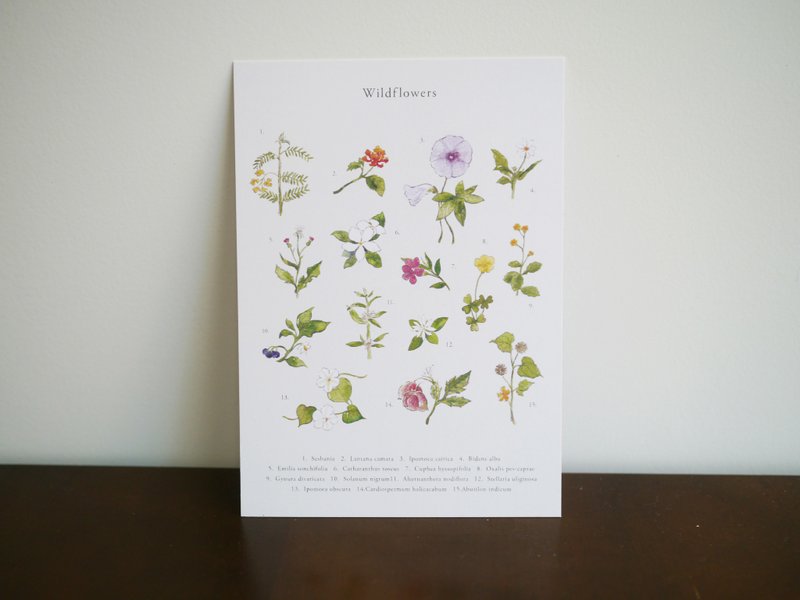 flower postcard - การ์ด/โปสการ์ด - กระดาษ 