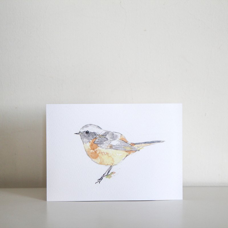 <Daurian redstart male> Bird Postcards - Cards & Postcards - Paper 