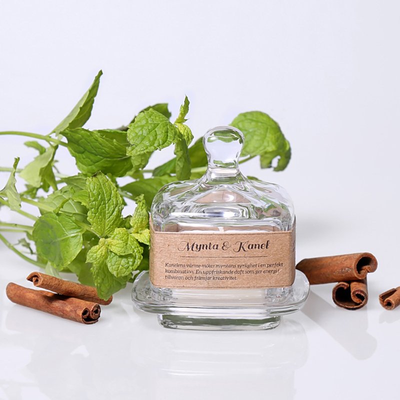 【Torplyktan】Spice Pantry Candle-Mint & Cinnamon 100ml - เทียน/เชิงเทียน - ขี้ผึ้ง 