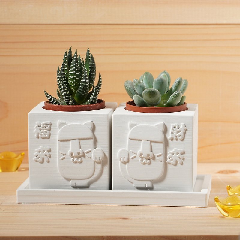 [Hot-selling item] Moai to attract wealth and good luck | Succulent plants in Cement pots | Customized gifts - Plants - Cement White