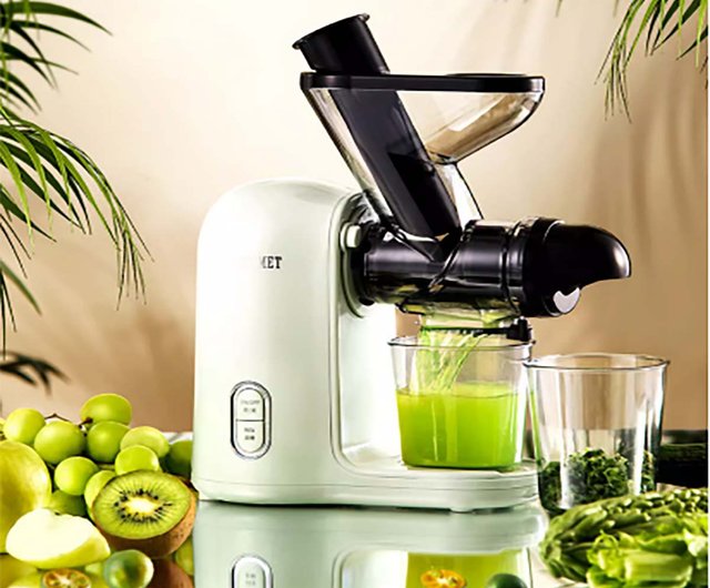 mini juicer extractor