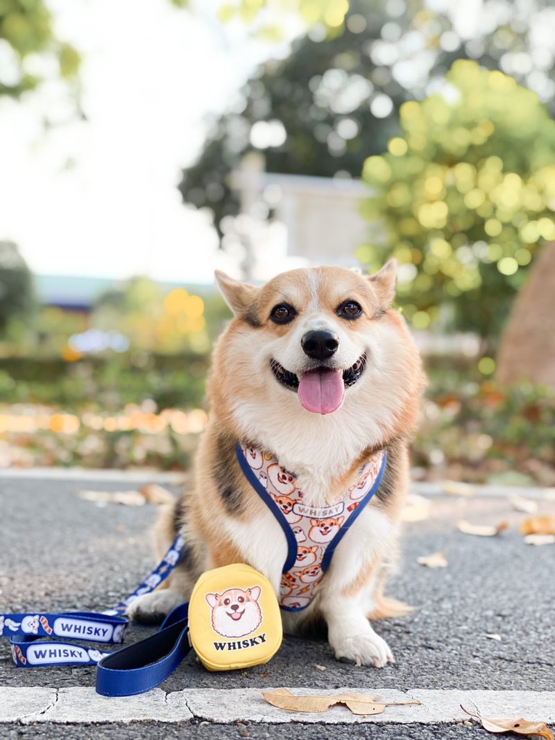 HAPPY harness and leash set - (Navy Boy Color) - ปลอกคอ - วัสดุอื่นๆ สีน้ำเงิน