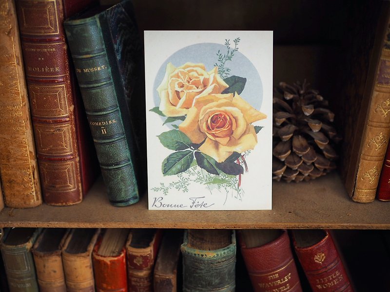 法國百年花卉 復刻版明信片 A款 - 卡片/明信片 - 紙 多色