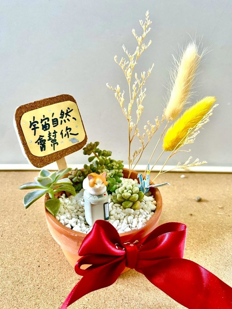 台中 多肉組盆 多肉植物 日式枯山水 微景觀 貓奴送禮 貓咪 生日 - 盆栽/植栽 - 植物．花 綠色