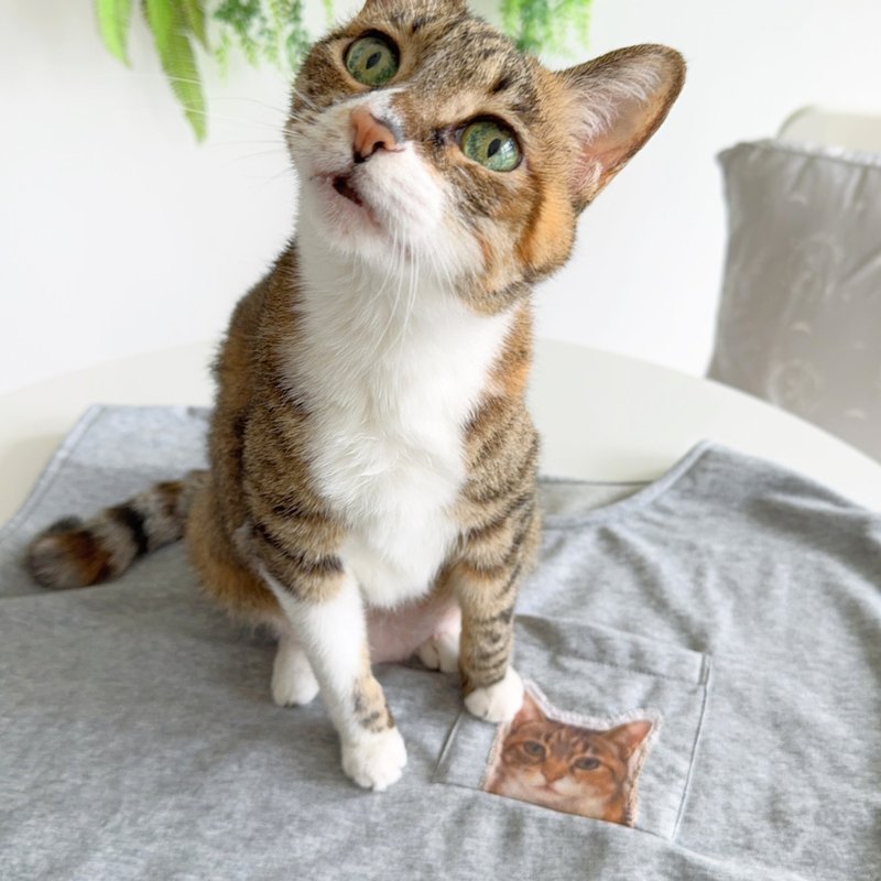 訂製寵物居家服 | 拼接網紗記憶柔棉毛圈上衣 | Meowmory 客製款 - 居家服/睡衣 - 棉．麻 灰色