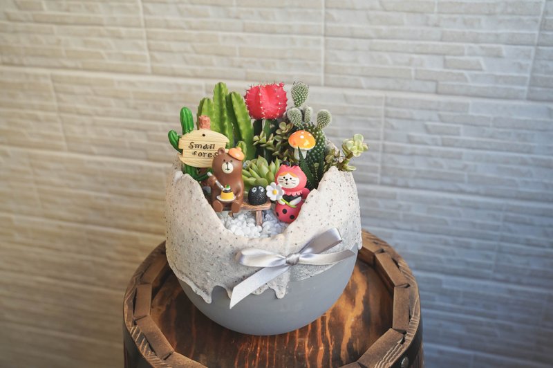 【竒植花物】大可愛蛋型仙人掌多肉盆栽 生日禮物 開幕升遷禮物 - 盆栽/植栽 - 植物．花 