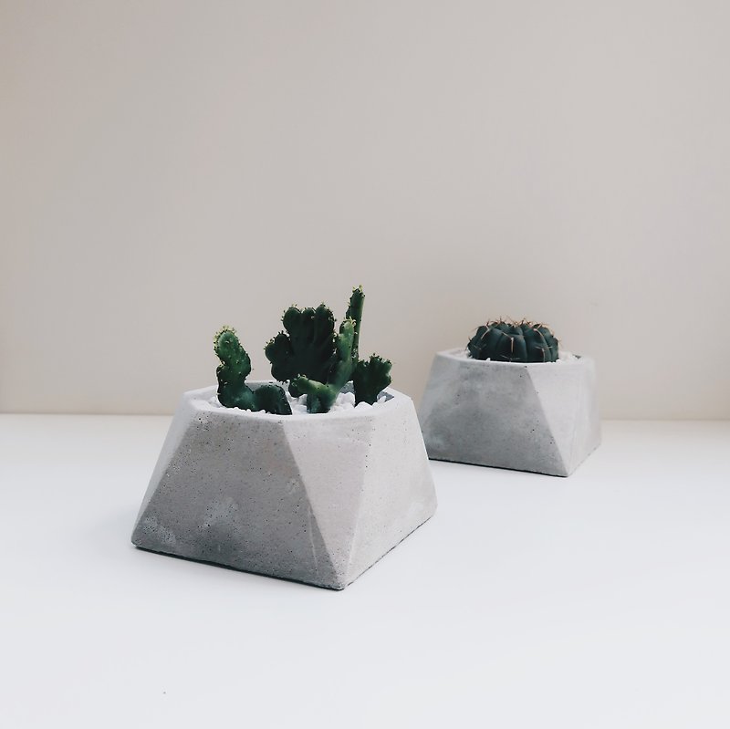 VIEWPOINT perspective│octagonal geometric cement pot and flower (with Christmas packing) - Plants - Cement Gray