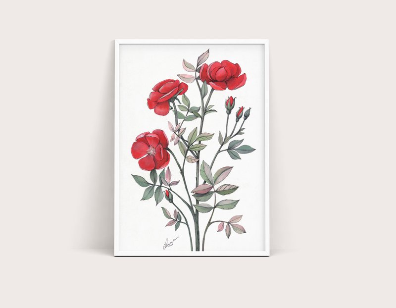 Red Roses Original Gouache Painting 30x21cm Botanical Illustration Rose Flowers - Illustration, Painting & Calligraphy - Paper Red