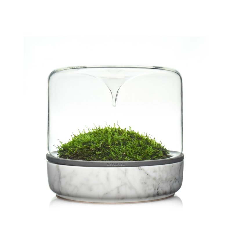 Marble rainforest bottle drop-shaped glass cover indoor office planting healing without plants - Plants - Other Materials 