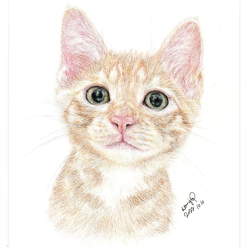 【客製化禮物】寵物手繪 | 黃貓 | 橘貓 | 似顏繪 | 畫 | 貓 - 其他 - 紙 