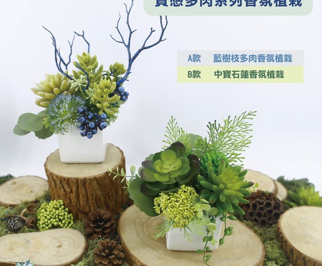 多肉植物鉢植え/中国宝石多肉植物/リアル植物/香料植物/ギフト 多肉植物鉢植え/中国宝石多肉植物/リアル植物/香料植物/ギフト