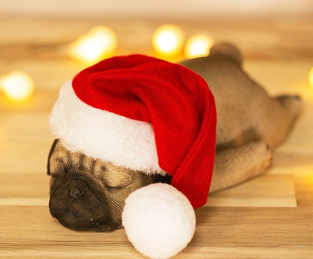 Pug items for christmas best sale