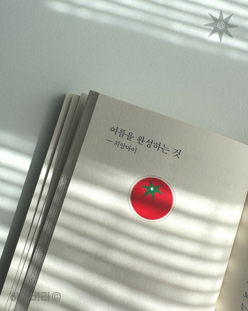 Lucky Tomato Tomato Removable Sticker - สติกเกอร์ - วัสดุอื่นๆ สีแดง