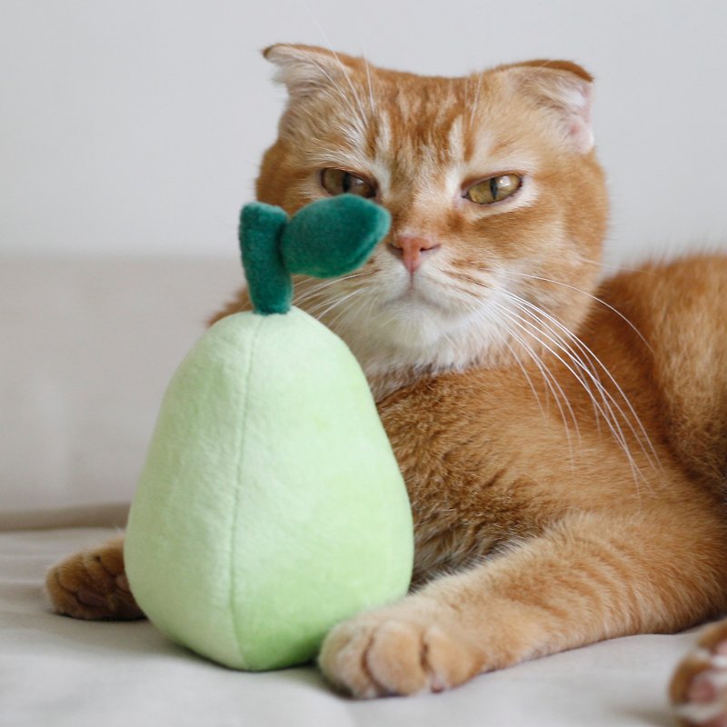 柚子 貓草包 貓玩具 - 貓/狗玩具 - 聚酯纖維 綠色
