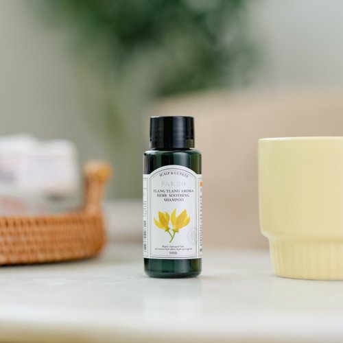 LODNI蘿德妮專業頭皮養護 依蘭精油舒緩洗髮精50ml