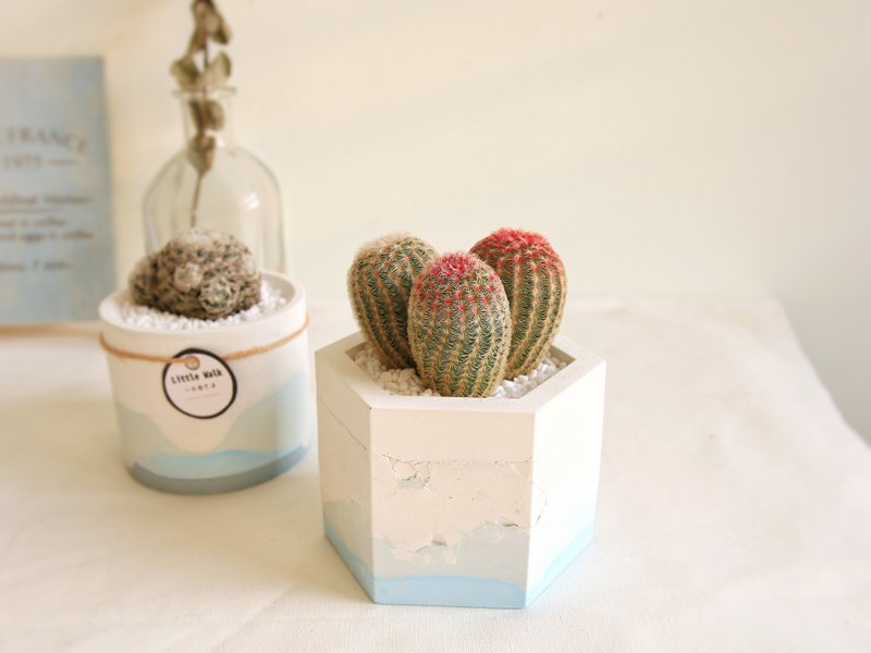 [Limited new products] fireworks lake view crack cement pot Christmas gift birthday gift - Plants - Cement Blue